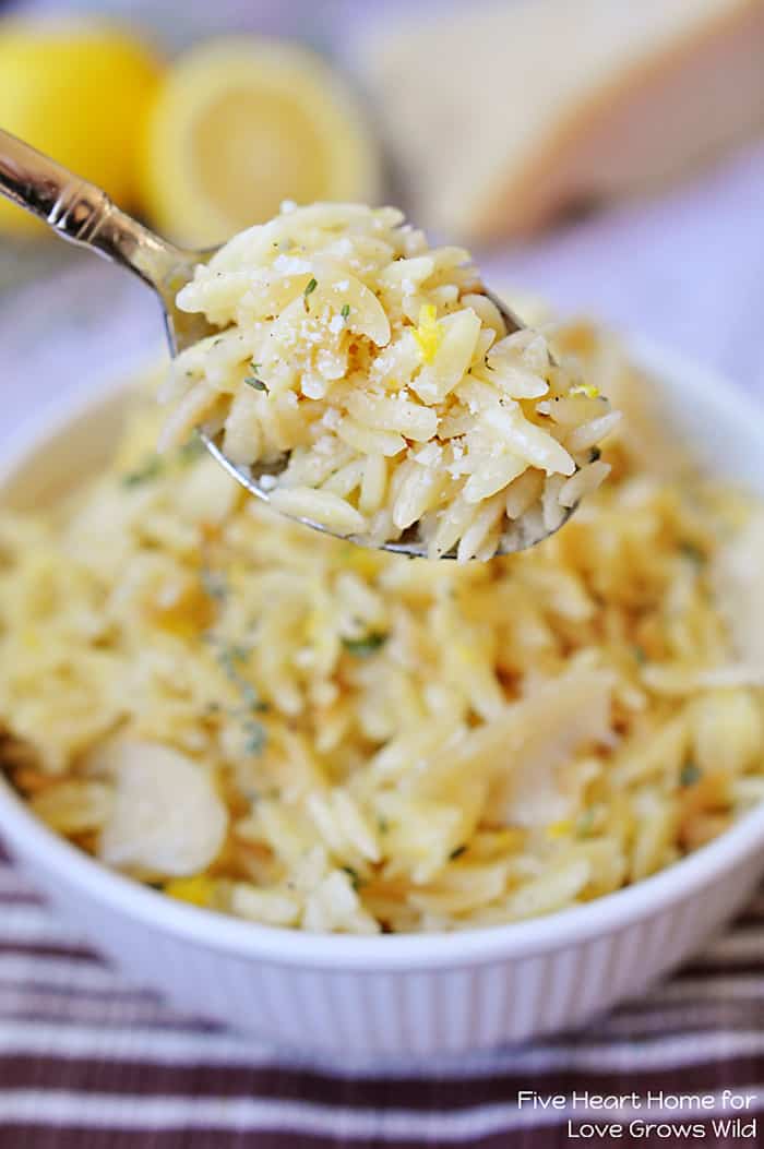 Parmesan Orzo with Lemon and Thyme - a perfect summer side dish! | LoveGrowsWild.com