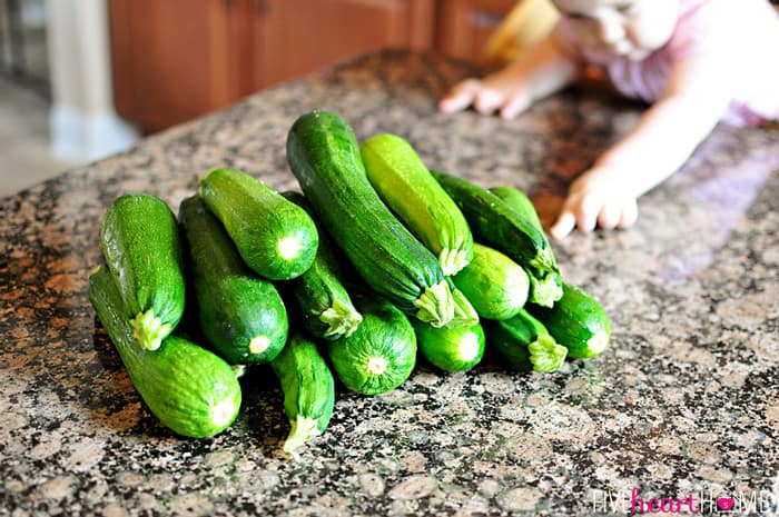 Parmesan Zucchini Rounds ~ you're just 2 ingredients away from a quick and easy, delicious summer side dish! | FiveHeartHome.com