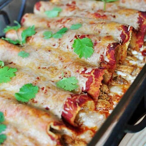 Creamy Chicken Enchiladas • FIVEheartHOME