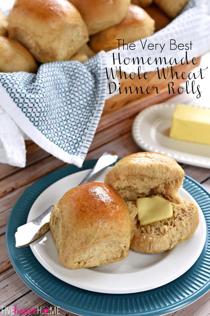 The Very Best Whole Wheat Dinner Rolls Fivehearthome