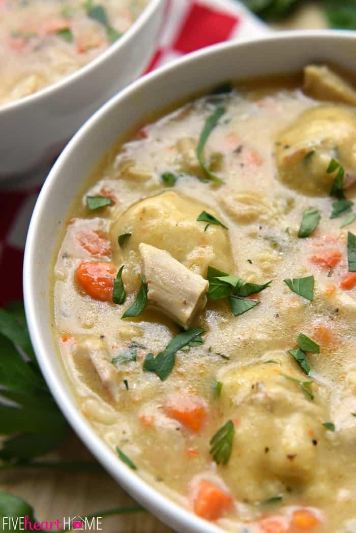 PERFECT Chicken and Dumplings (from Scratch!) • FIVEheartHOME
