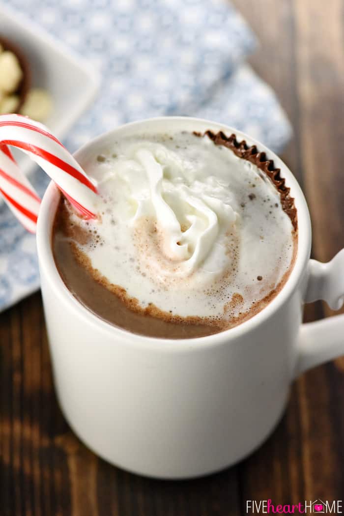 Hot Chocolate Floaters