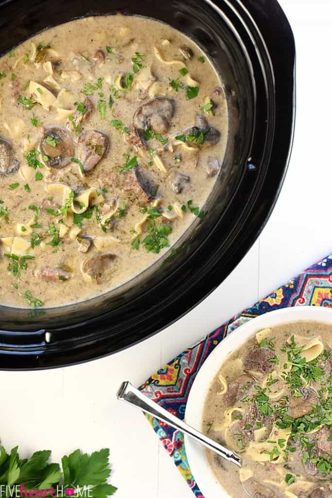 Slow Cooker Beef Stroganoff Soup • FIVEheartHOME