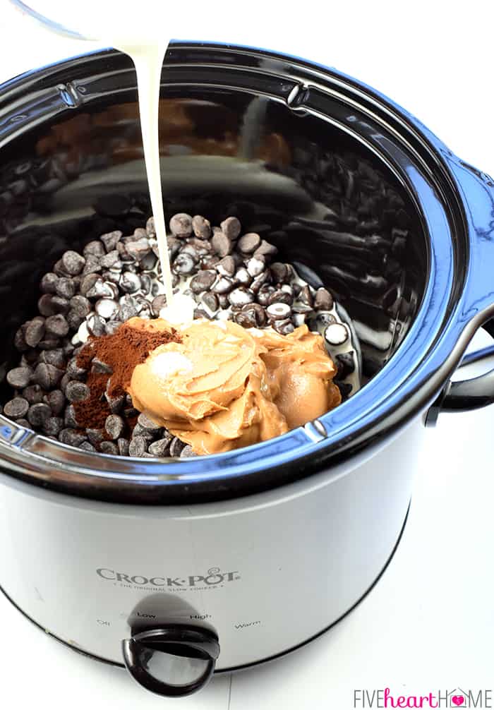 https://www.fivehearthome.com/wp-content/uploads/2017/02/Slow-Cooker-Chocolate-Peanut-Butter-Fondue-Crock-Pot-Dessert-Dip-Recipe-Valentines-Day-by-Five-Heart-Home_700pxIngred.jpg