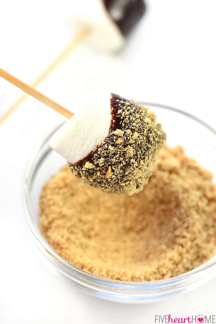 Little Dipper CrockPot Peanut Butter Fondue - A Year of Slow Cooking