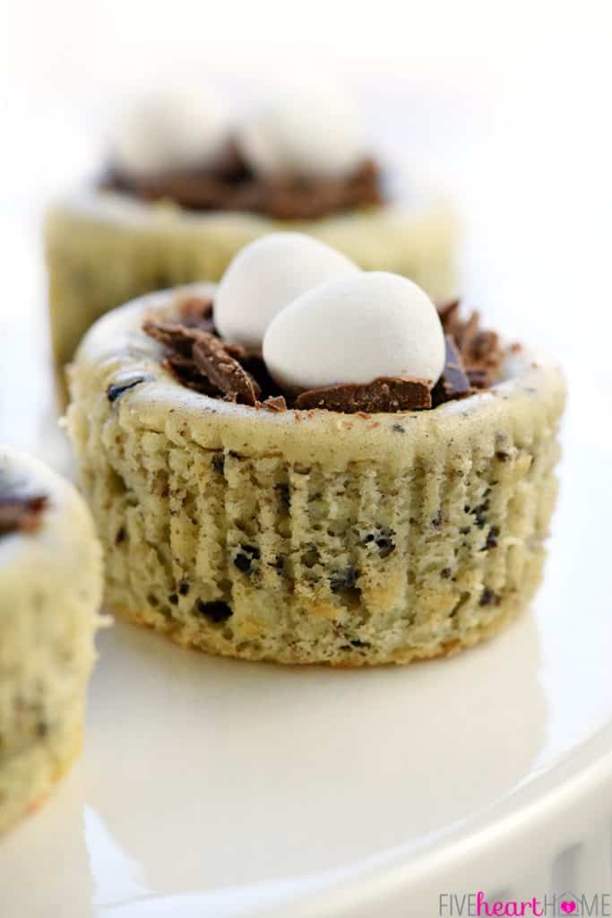 Bird's Nest Mini Oreo Cheesecakes • FIVEheartHOME