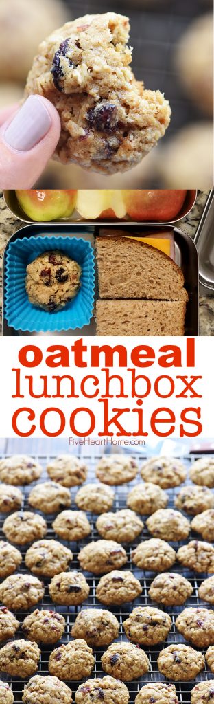 Oatmeal Lunchbox Cookies