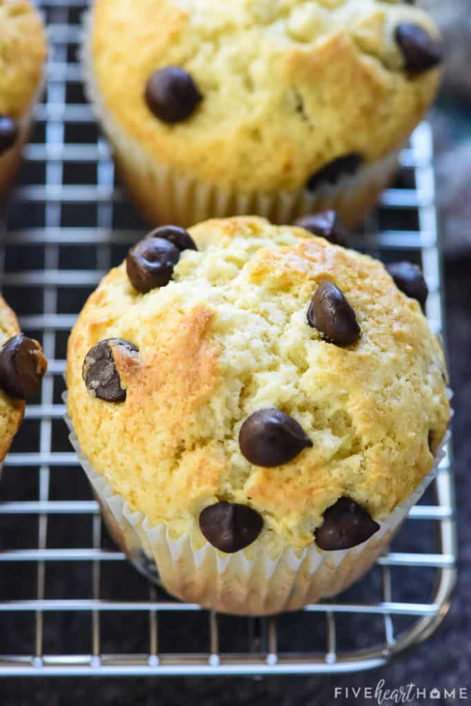 Basic Muffin Recipe - Taste of the Frontier