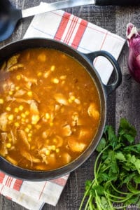 Delicious BBQ Chicken Soup ~ SO Much Flavor! • FIVEheartHOME