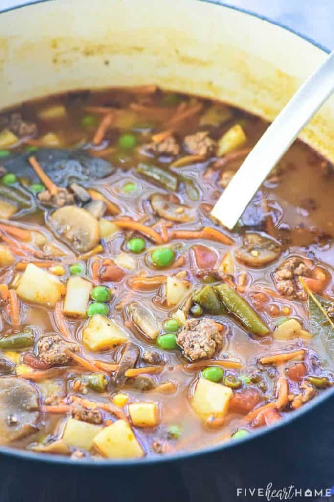 Close-up of Hamburger Vegetable Soup in pot with ladle.