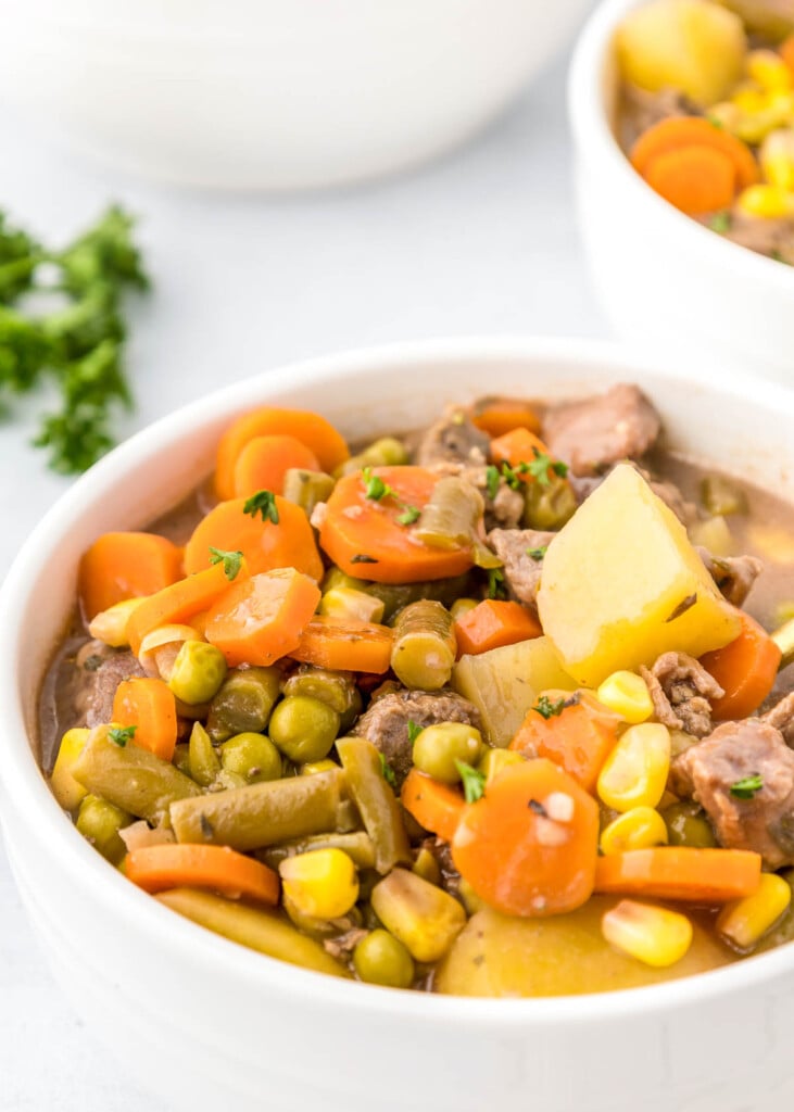 Easy Crock Pot Beef Stew (with AMAZING Savory Flavor!) • FIVEheartHOME