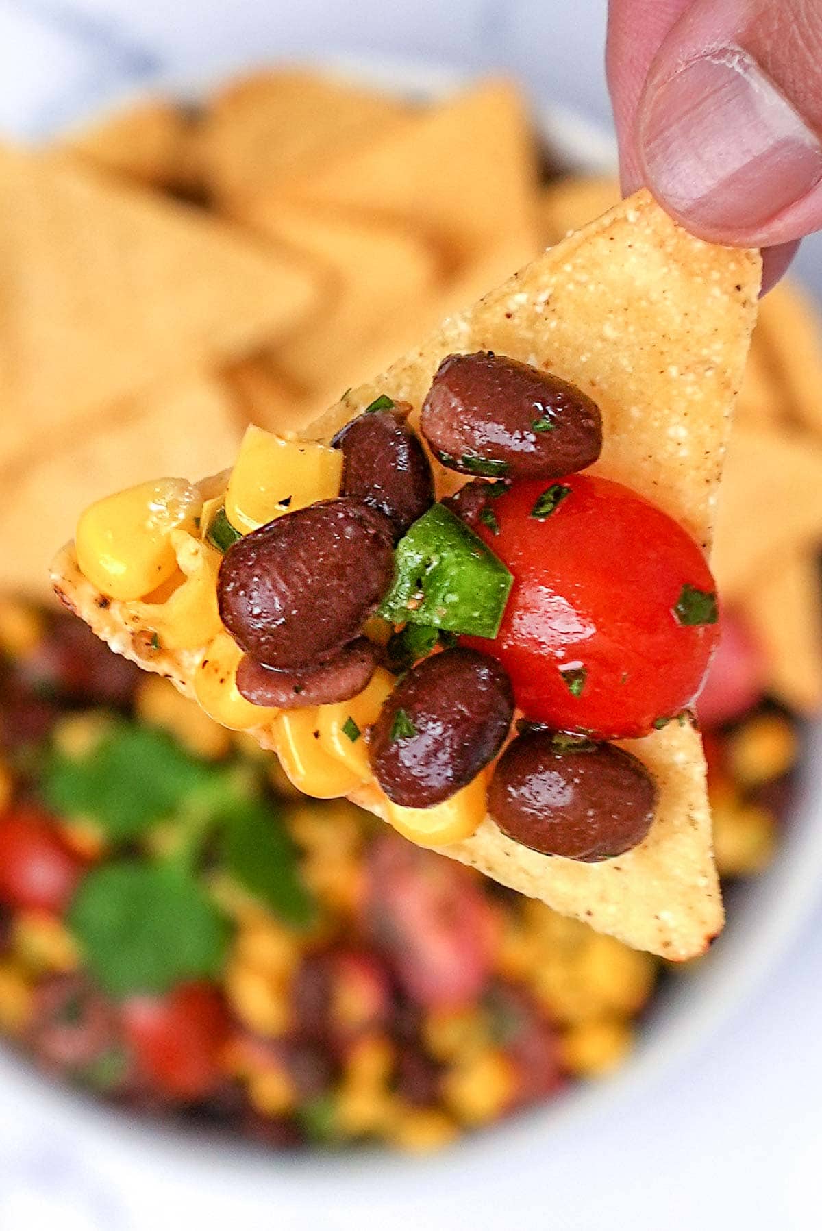 Black Bean and Corn Salsa dipped up with chip.