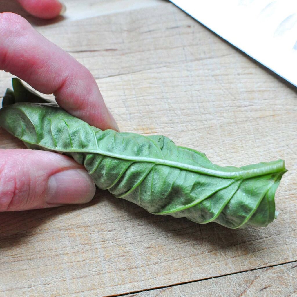 Basil leaves rolled into a cigar to chiffonade.