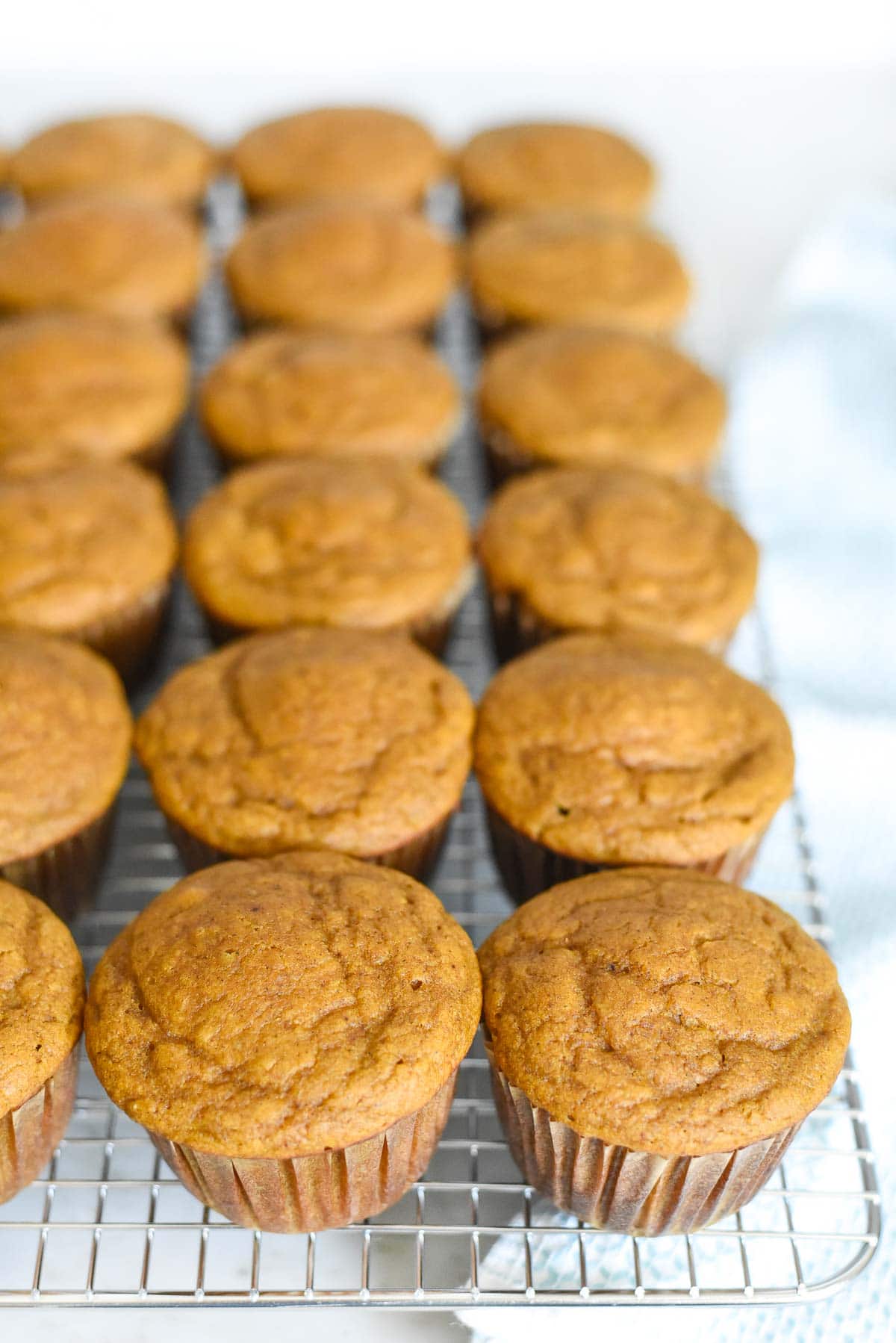 Healthy Pumpkin Muffins on cooling rack.