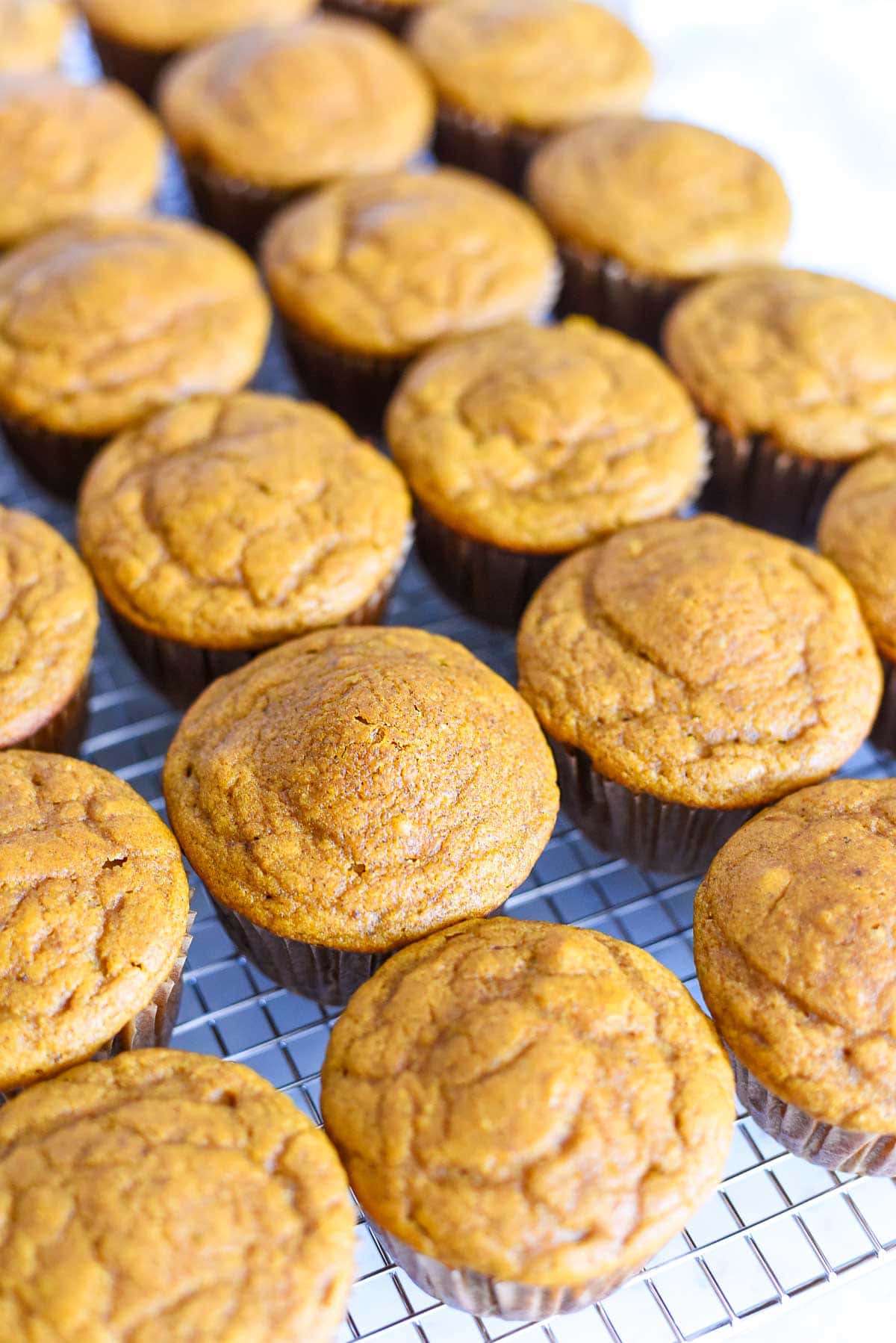 Healthy Pumpkin Muffins lined up on rack.