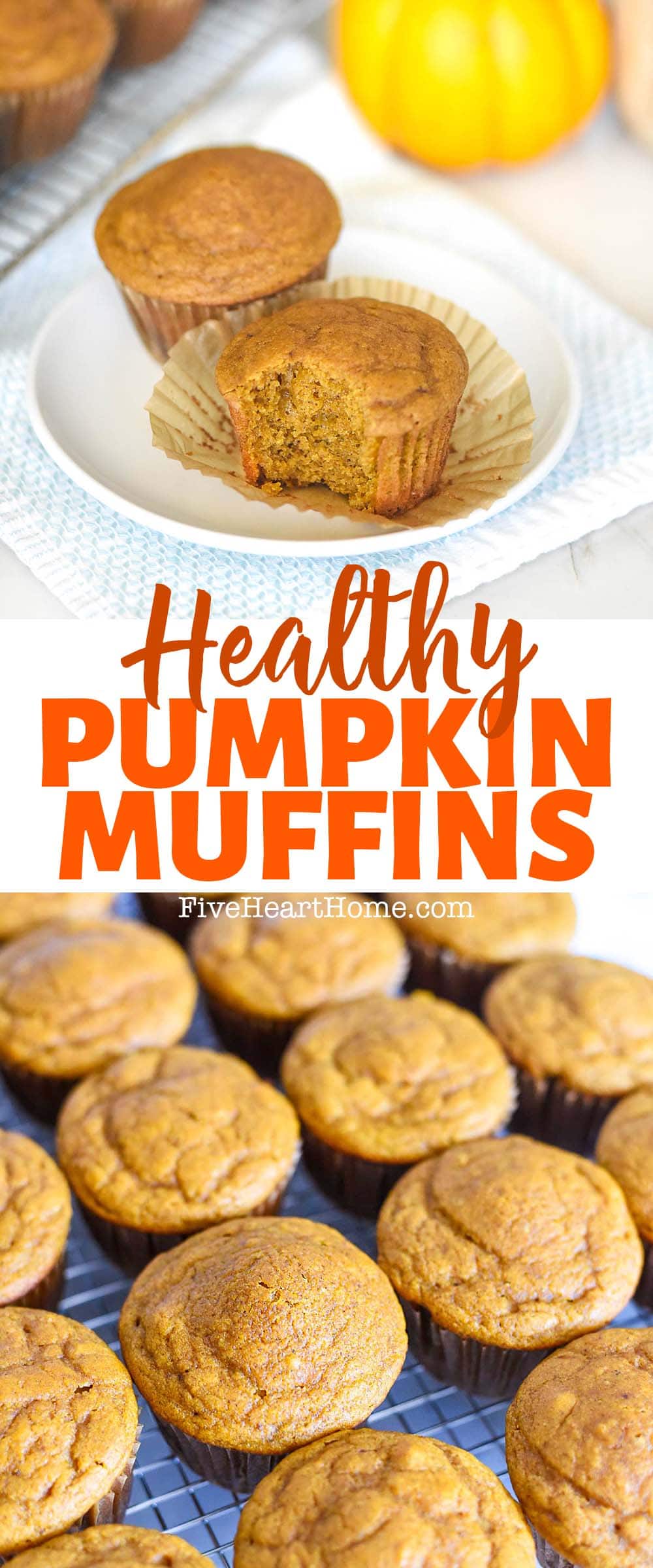 Healthy Pumpkin Muffins ~ soft, moist, easy to make, and loaded with wholesome ingredients including whole wheat flour and yogurt…but they’re so yummy that nobody will ever guess they’re healthy! | FiveHeartHome.com via @fivehearthome