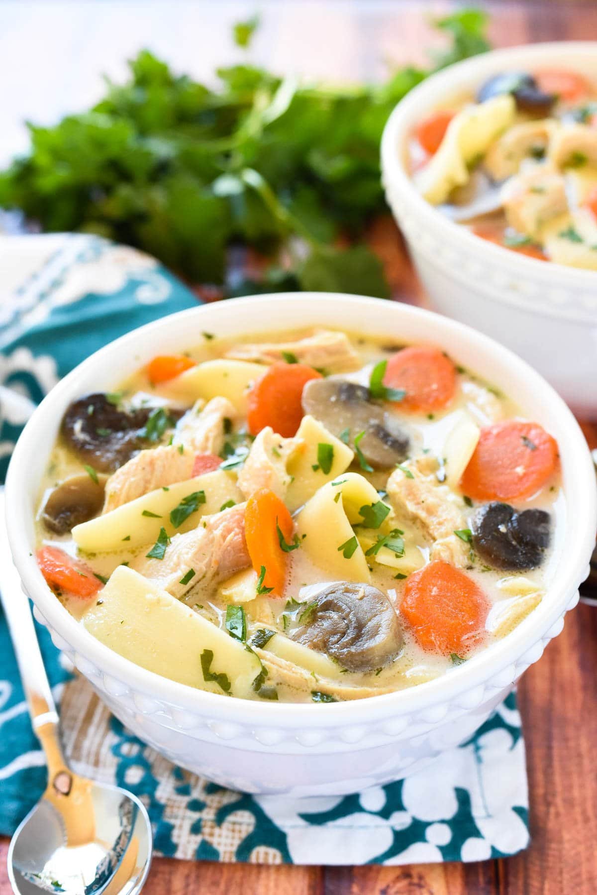 Two bowls of Crock Pot Chicken Noodle Soup.