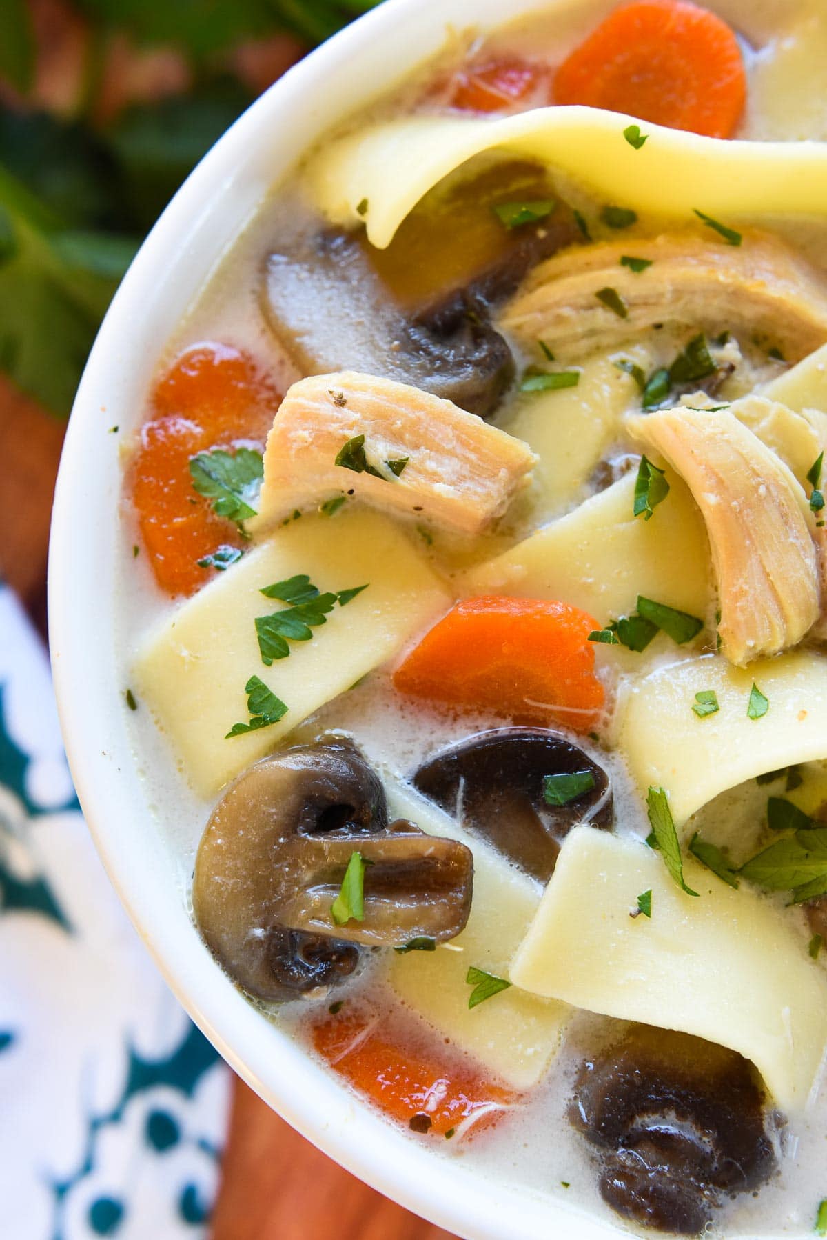 Aerial view of Crock Pot Chicken Noodle Soup.