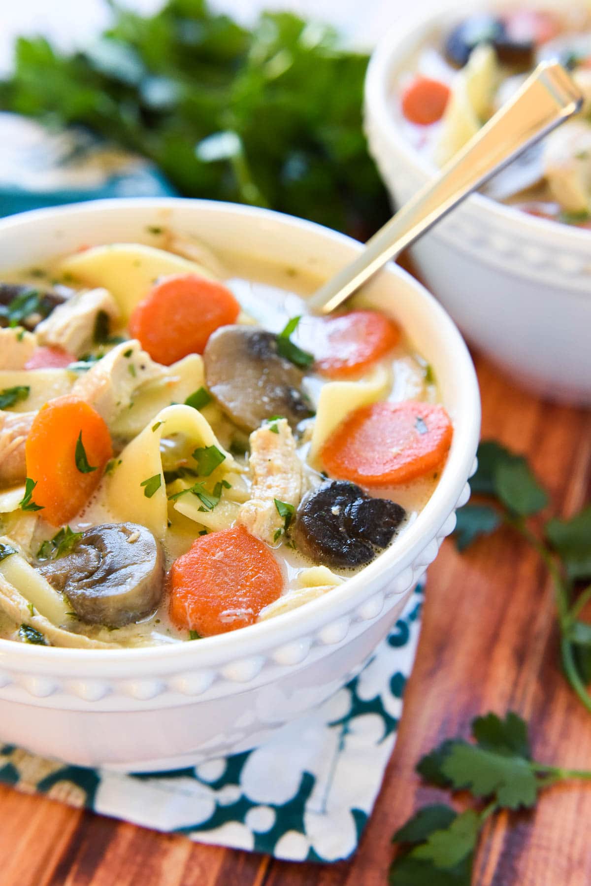 Crock Pot Chicken Noodle Soup in bowl with spoon.