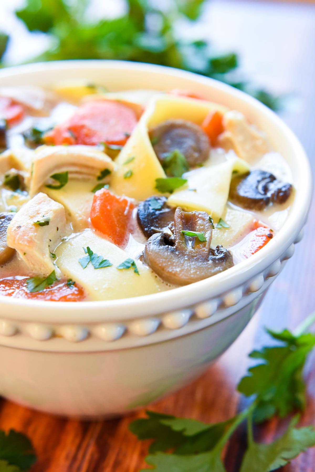 Chicken Noodle Soup Crock Pot with fresh parsley.