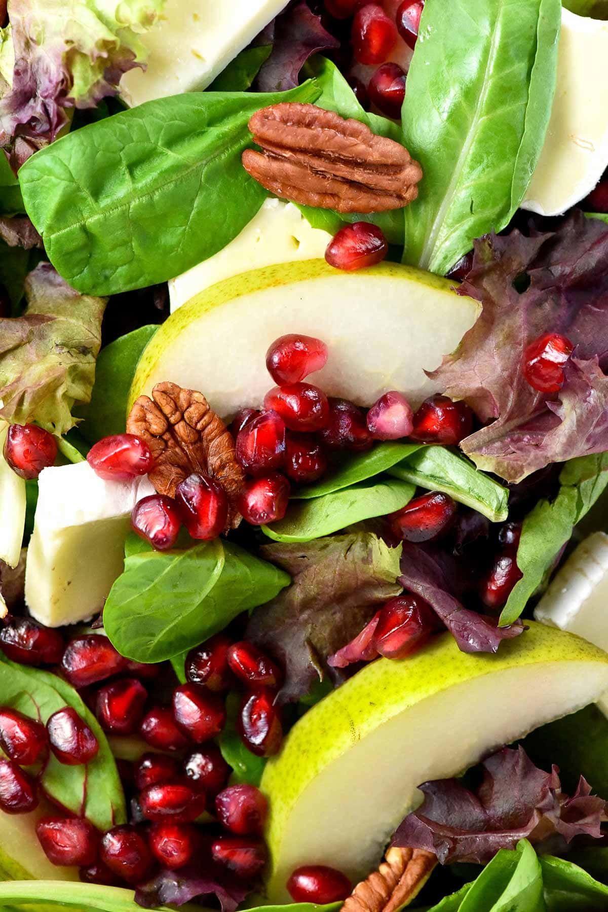 Close-up of Thanksgiving Salad ingredients.