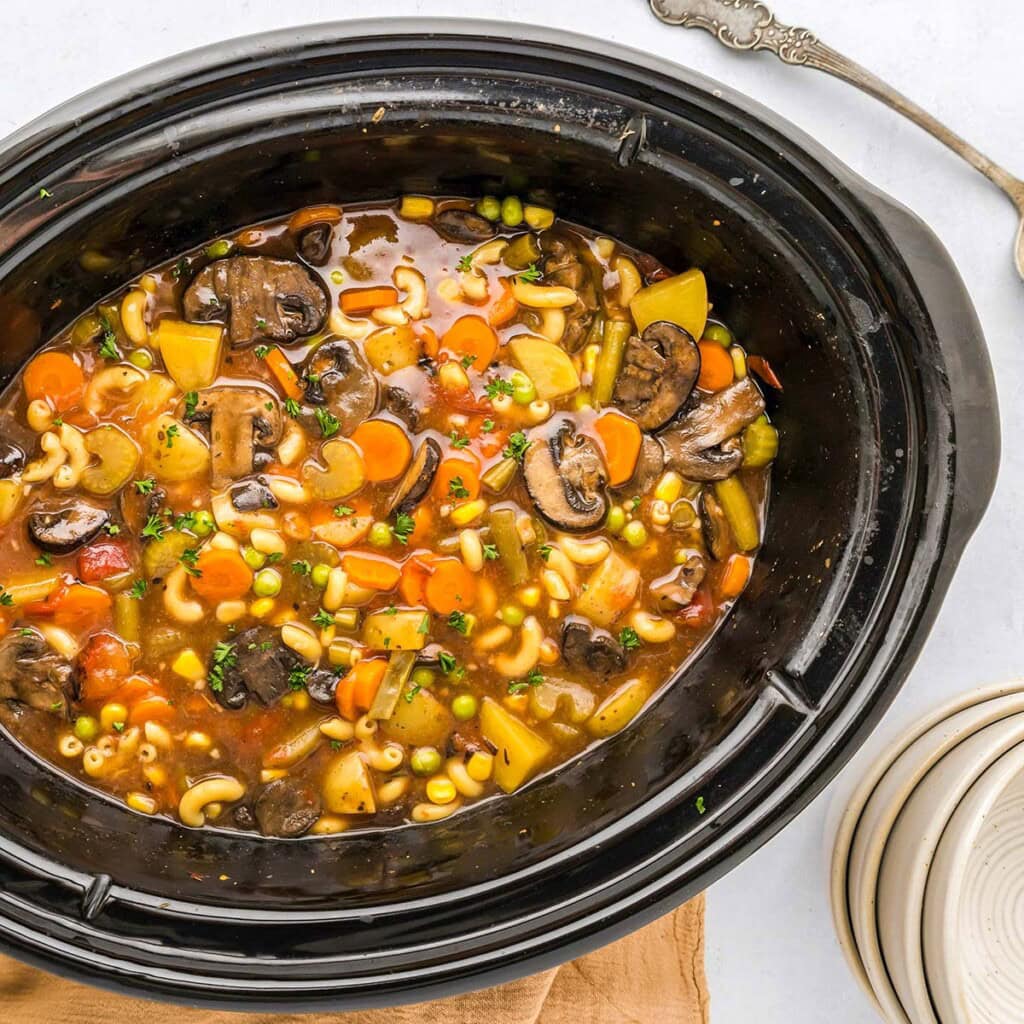 Vegetable Stew aerial view in slow cooker.